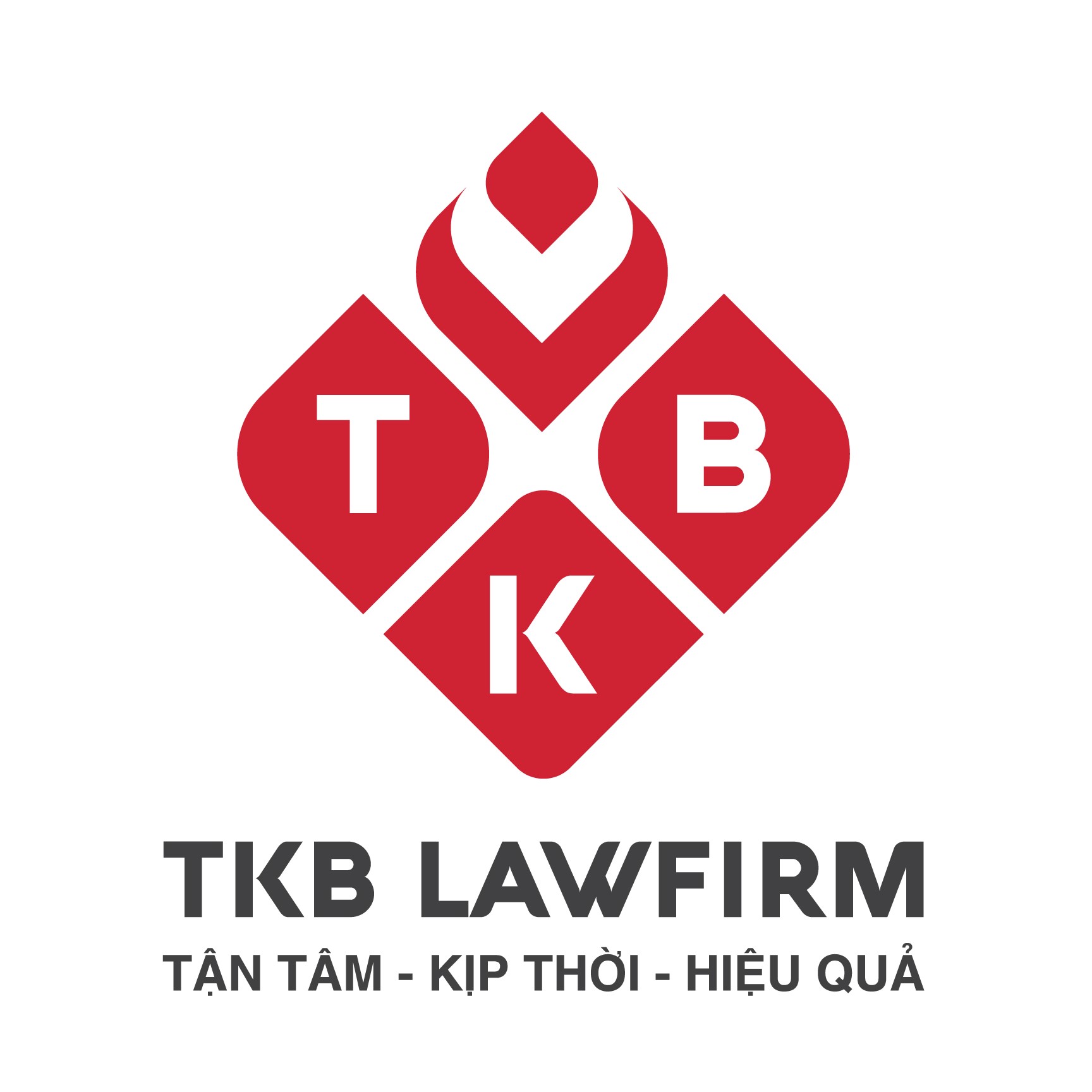 Hồ sơ năng lực Công ty Luật TNHH TKB